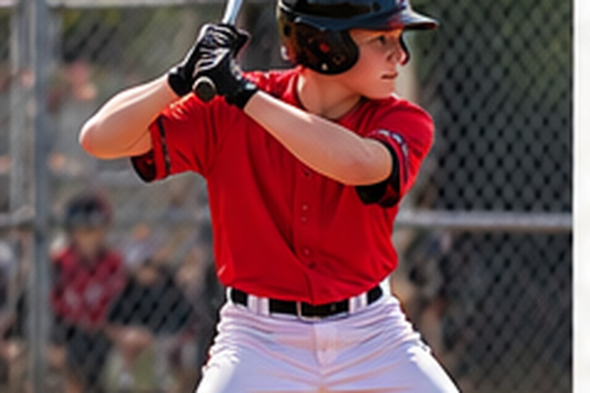 At the Plate — Fairport Red Rage Baseball