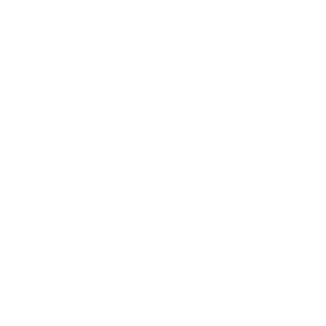 icon-4 copie