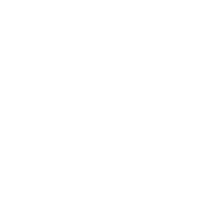icon-4 medal